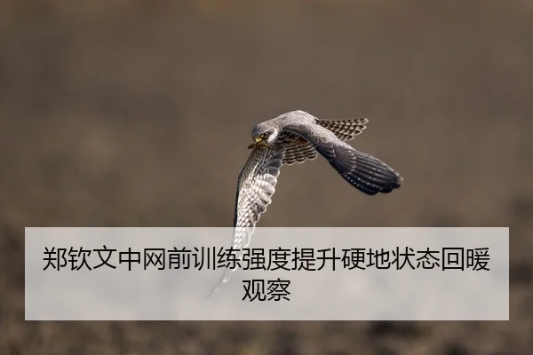 郑钦文中网前训练强度提升硬地状态回暖观察